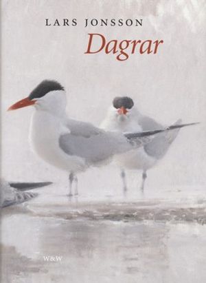 Dagrar