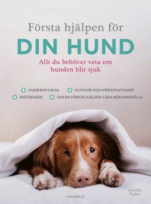 Första hjälpen för din hund