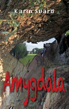 Amygdala | 0:e upplagan