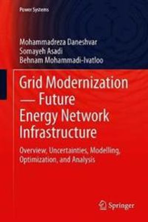 Grid Modernization ? Future Energy Network Infrastructure | 1:a upplagan