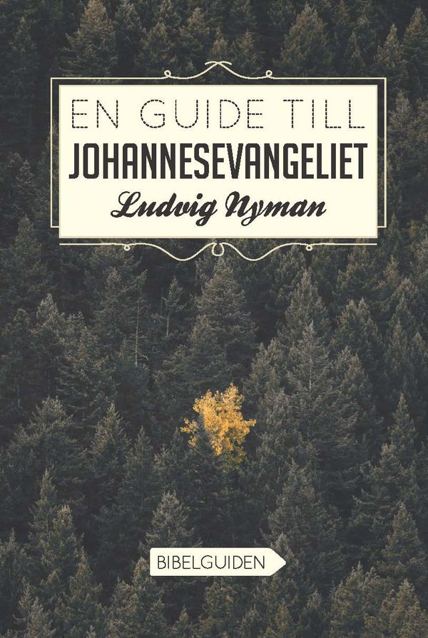En guide till Johannesevangeliet | 0:e upplagan