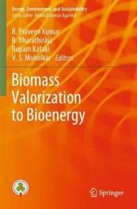 Biomass Valorization to Bioenergy