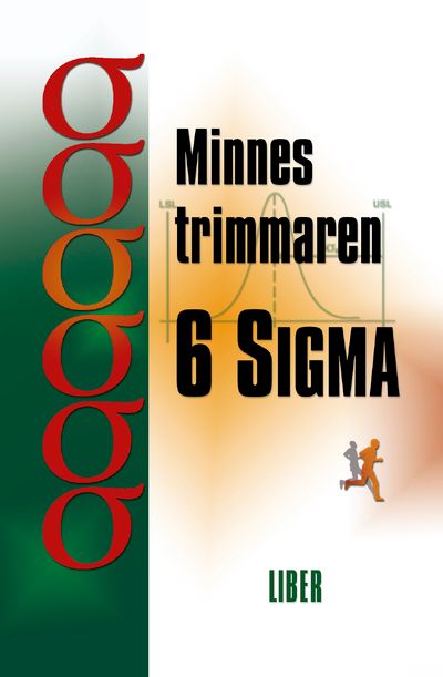 Minnestrimmaren 6 Sigma | 1:a upplagan