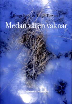 Medan våren vaknar | 1:a upplagan