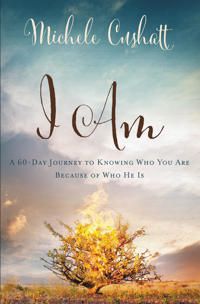 I am - a 60-day journey to knowing who you are because of who he is | 0:e upplagan