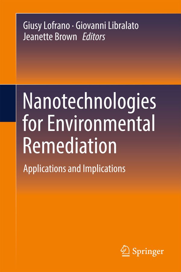 Nanotechnologies for Environmental Remediation | 1:a upplagan