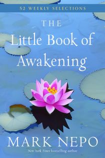 Little Book Of Awakening