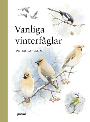 Vanliga vinterfåglar | 1:a upplagan