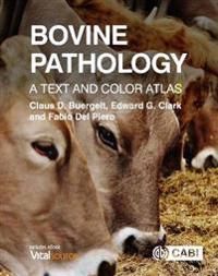 Bovine Pathology - Buergelt Claus D. - Edward G. - Del Piero