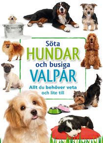 Söta hundar och busiga valpar