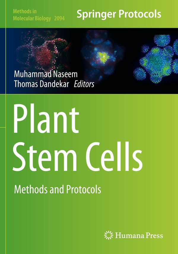 Plant Stem Cells: Methods and Protocols: 2094 (Methods in Molecular Biology) | 1:a upplagan