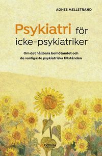 Psykiatri för icke-psykiatriker : Om det hållbara bemötandet och de vanligaste psykiatriska tillstånden