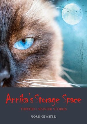 Annika's Storage Space : Thirteen Sinister Stories | 1:a upplagan