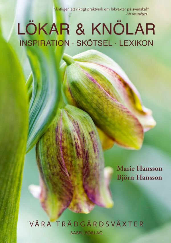 Lökar & knölar: Inspiration - Skötsel - Lexikon | 3:e upplagan