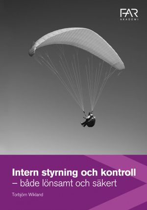 Intern Styrning och kontroll - både lönsamt och säkert