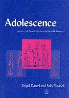 Adolescence - assessing and promoting resilience in vulnerable children 3