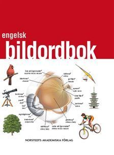 Engelsk bildordbok | 1:a upplagan