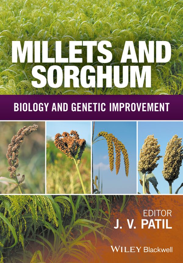 Millets and Sorghum: Biology and Genetic Improvement | 1:a upplagan
