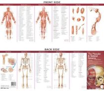 Anatomical Chart Company's Illustrated BC Anatomy: The Muscular & Skeletal Systems Study Guide