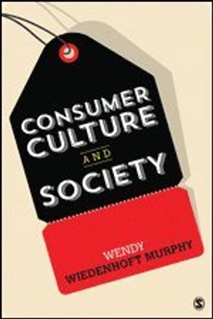 Consumer Culture and Society | 1:a upplagan