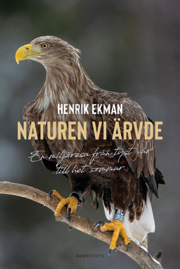Naturen vi ärvde : En miljöresa från Tyst vår till het sommar | 1:a upplagan