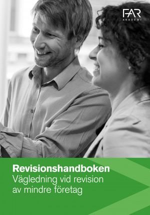 Revisionshandboken - En vägledning