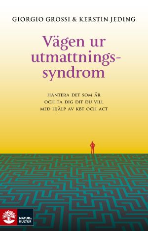 Vägen ur utmattningssyndrom : Hantera det som är och ta dig dit du vill med | 1:a upplagan