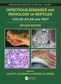 Infectious Diseases and Pathology of Reptiles