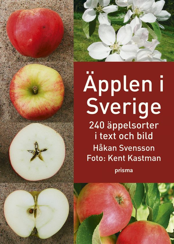 Äpplen i Sverige : 240 äppelsorter i text och bild | 2:a upplagan