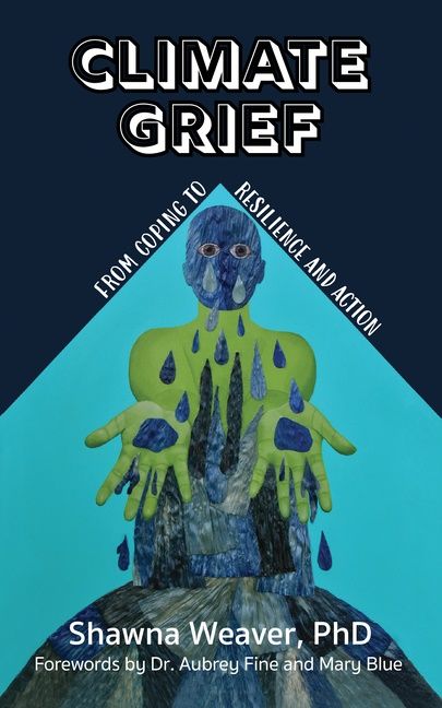 Climate Grief : From Coping to resilience and Action | 0:e upplagan