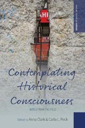 Contemplating Historical Consciousness