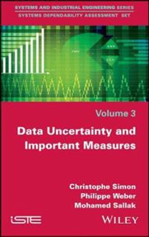 Data Uncertainty and Important Measures | 1:a upplagan