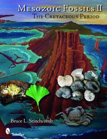 Mesozoic fossils ii - the cretaceous period