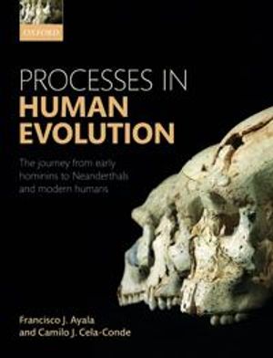 Processes in Human Evolution