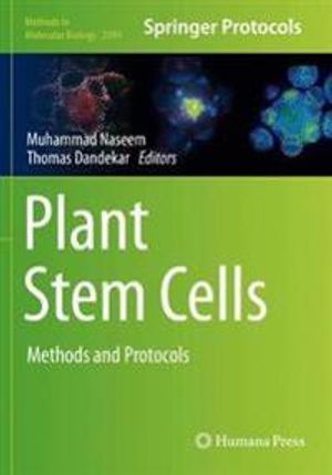 Plant Stem Cells: Methods and Protocols: 2094 (Methods in Molecular Biology) | 1:a upplagan