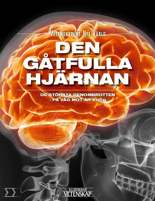 Den gåtfulla hjärnan | 0:e upplagan