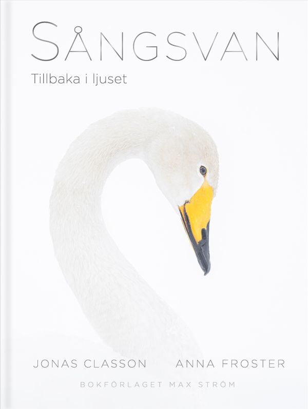 Sångsvan | 0:e upplagan