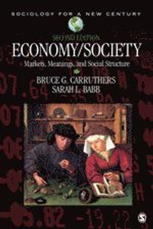 Economy/society - markets, meanings, and social structure