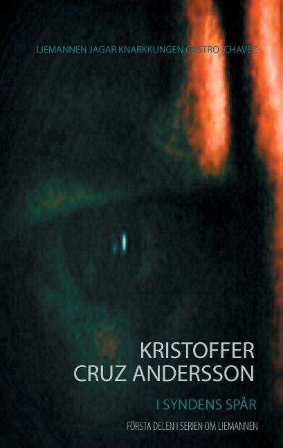 I syndens spår | 1:a upplagan