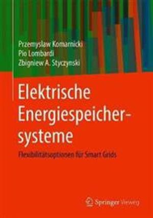 Elektrische Energiespeichersysteme | 1:a upplagan