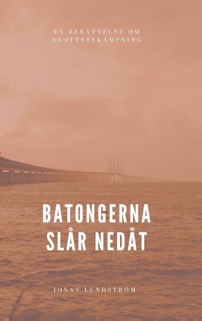 Batongerna slår nedåt : en berättelse om brottsbekämpning | 1:a upplagan