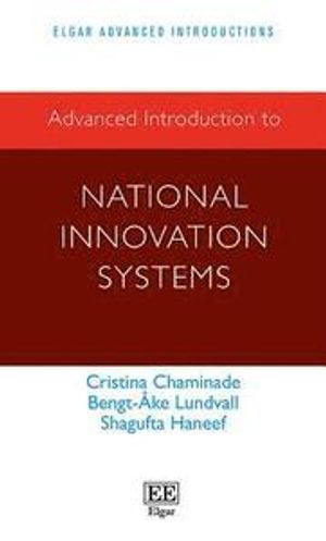 Advanced Introduction to National Innovation Systems