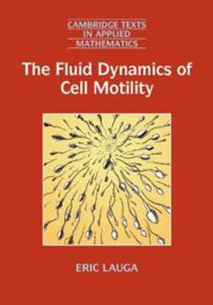 The Fluid Dynamics of Cell Motility