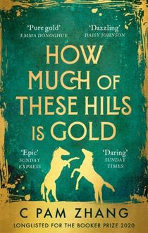 How Much of These Hills is Gold - Longlisted for the Booker Prize 2020