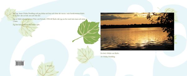 En bok i bilder om Kalix | 0:e upplagan