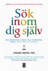 Sök inom dig själv : den oväntade vägen till framgång lycka (och fred på jorden) | 0:e upplagan