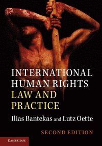 International human rights law and practice