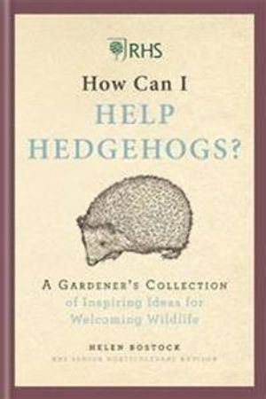 RHS How Can I Help Hedgehogs?