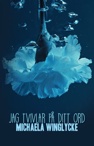 Jag tvivlar på ditt ord