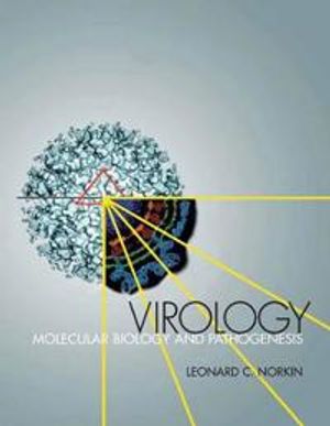 Virology: Molecular Biology and Pathogenesis | 1:a upplagan